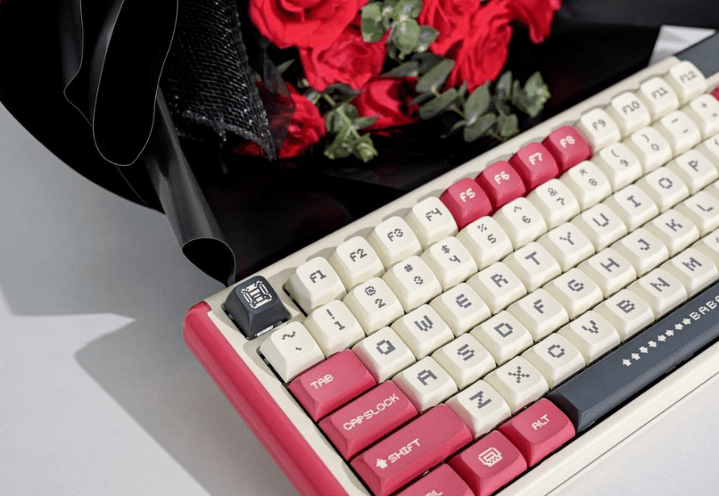 How to Choose the Perfect Mechanical Keyboard for You - dustsilver