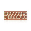 Dustsilver D66 Coffee Cream Gateron Red Switch Wireless 65% Layout Hot Swapping RGB Mechanical Keyboard---Only USA