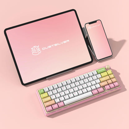 Dustsilver D66 Wireless Mechanical keyboard - dustsilver